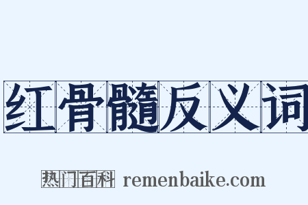 红骨髓反义词是什么意思的图片